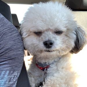 Meet your Posher, Jackie